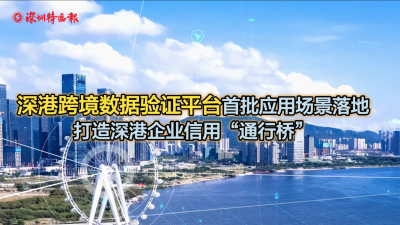 新奥彩2024最新资料大全,实地验证数据应用_苹果版89.971