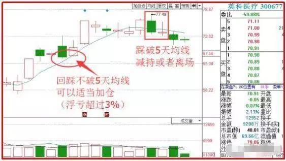 澳码精准资料天天免费,实地分析数据设计_特别版4.464