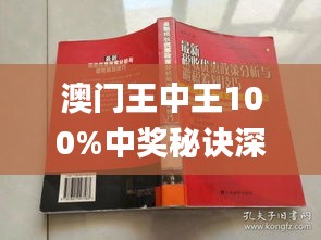 澳门王中王100,实地验证设计解析_L版85.553