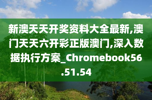 新澳天天开奖资料,专业执行方案_增强版53.570