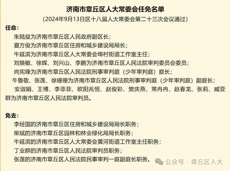 山东省人事任免最新消息深度解析