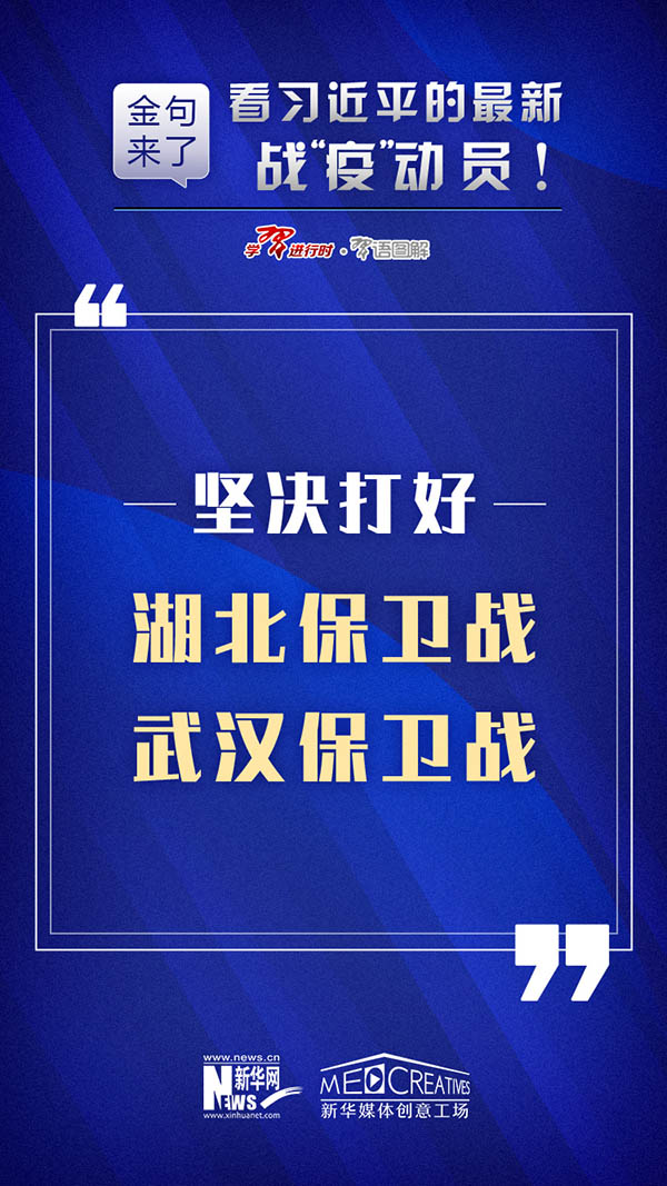 新澳2024正版免费资料,正确解答落实_领航版44.941