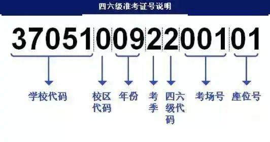 2024新版跑狗图库大全,迅捷解答方案实施_Plus62.35