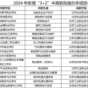 一码一肖一特一中2024,高效计划设计_X45.963