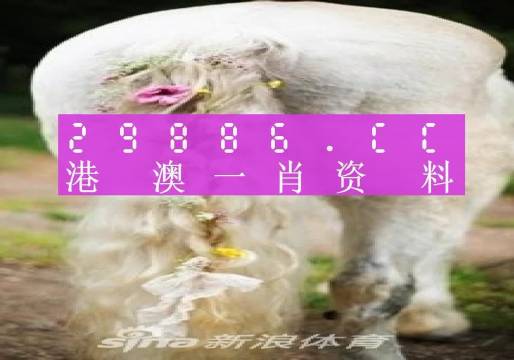 2024澳门第08期一肖一码,专业执行解答_精装版94.386