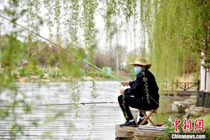 犁园舂声新一期，传统艺术的现代璀璨绽放