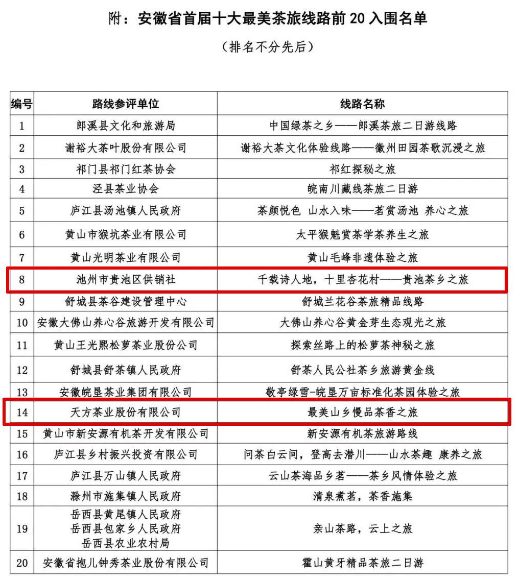 池州高新区最新招聘深度解析