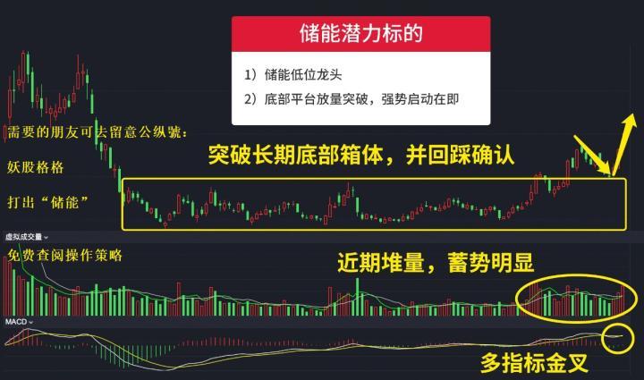 2024年管家婆精准一肖61期,科学分析解释定义_苹果款74.917