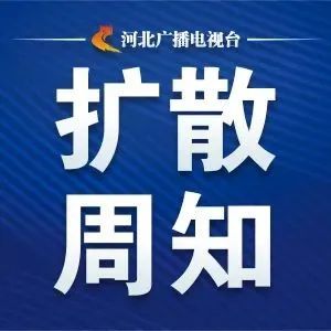 卓达最新权威消息全面解读