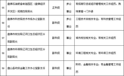 盘锦市委组织部发布最新公告