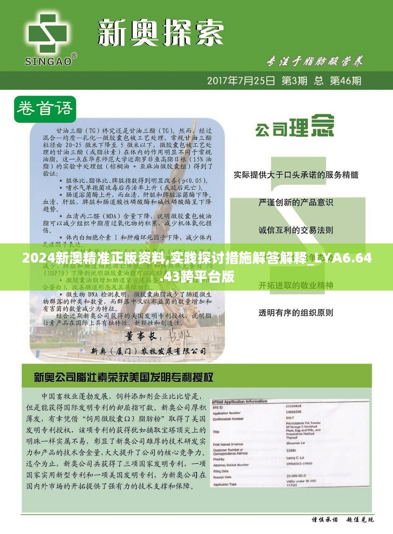 新澳2024年精准资料33期,精细解析评估_yShop28.702