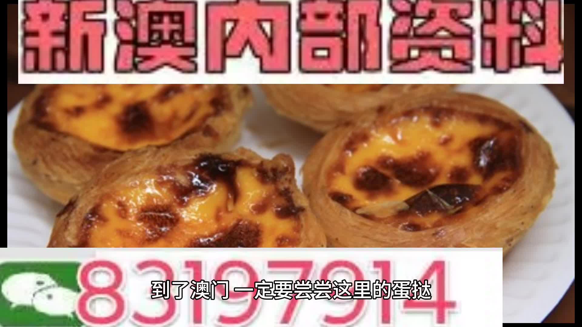 新澳门资料大全正版资料查询,全面实施数据分析_微型版77.88