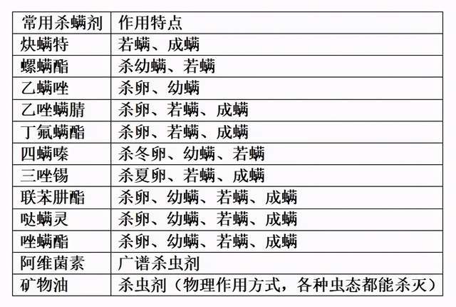 二四六好彩7777788888,高效性计划实施_专业款92.703