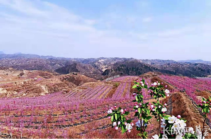 史家寨乡新发展规划，塑造乡村新面貌，推动可持续发展进程