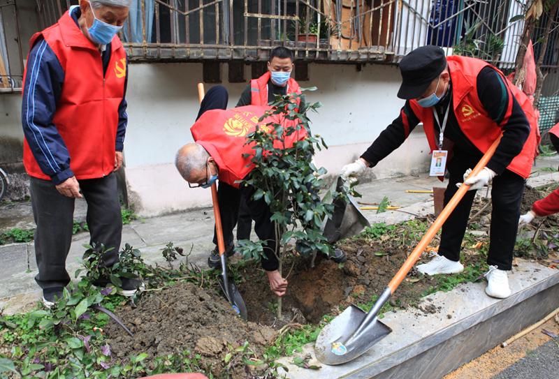 圣灯街道新领导团队引领下的城市新气象