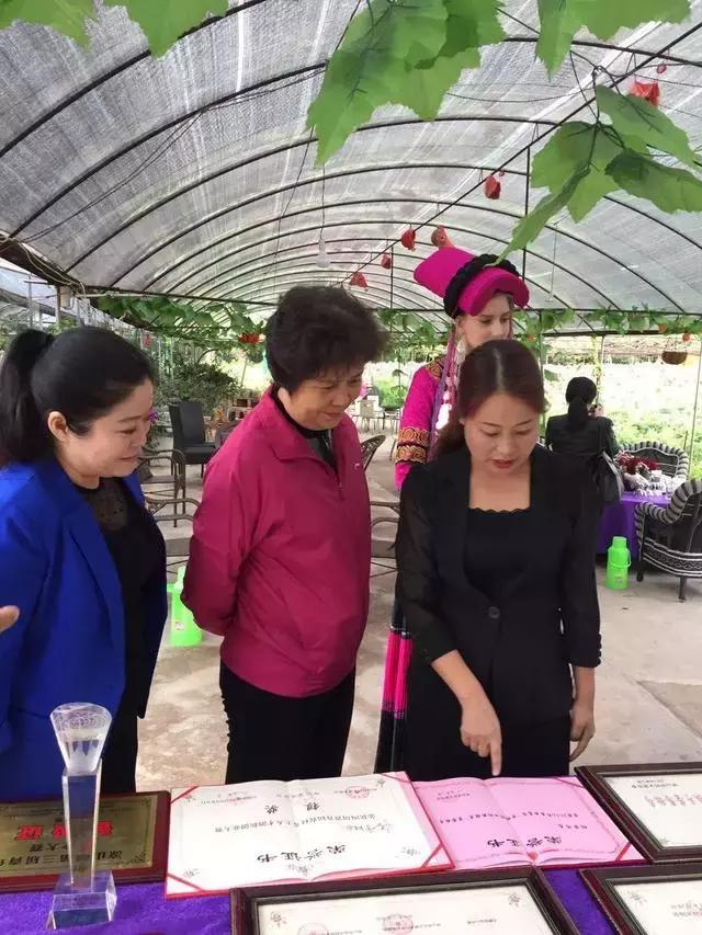 杨柳乡重塑乡村风貌，最新发展规划激活发展潜能