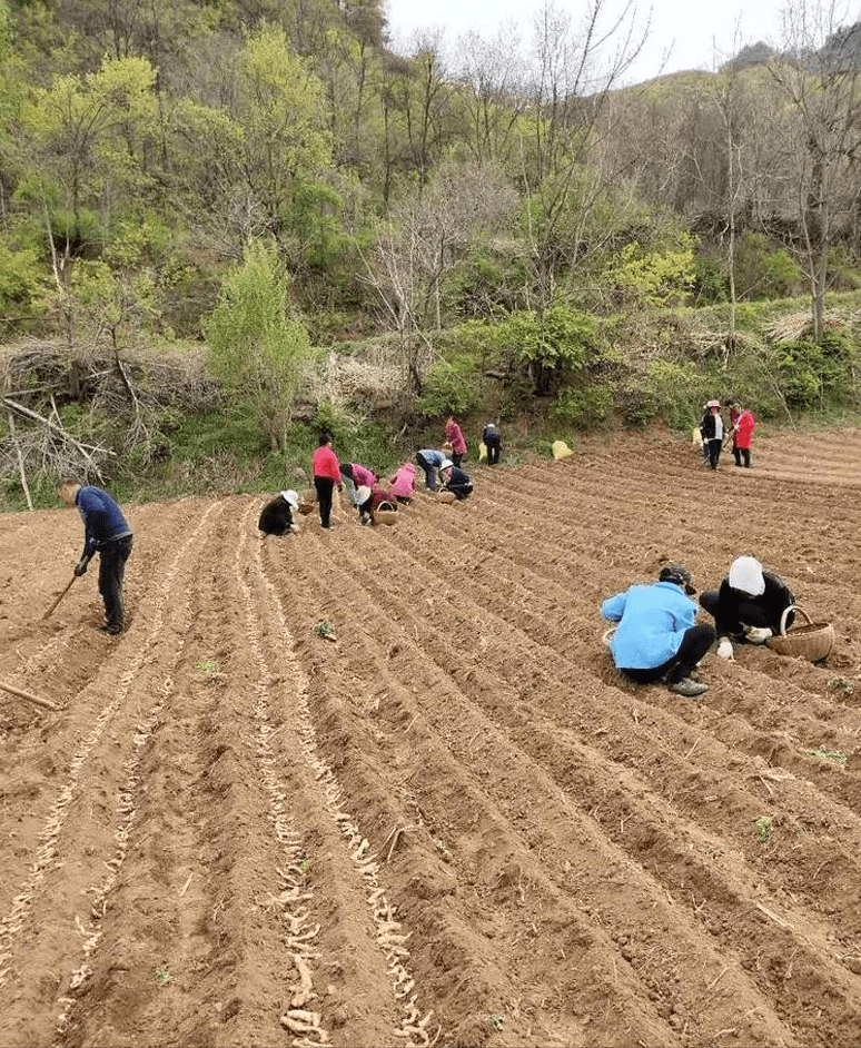 西沙群岛农业农村局最新项目引领海洋农业新篇章探索