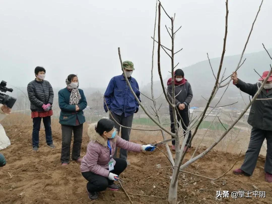 核桃园镇最新新闻动态速递