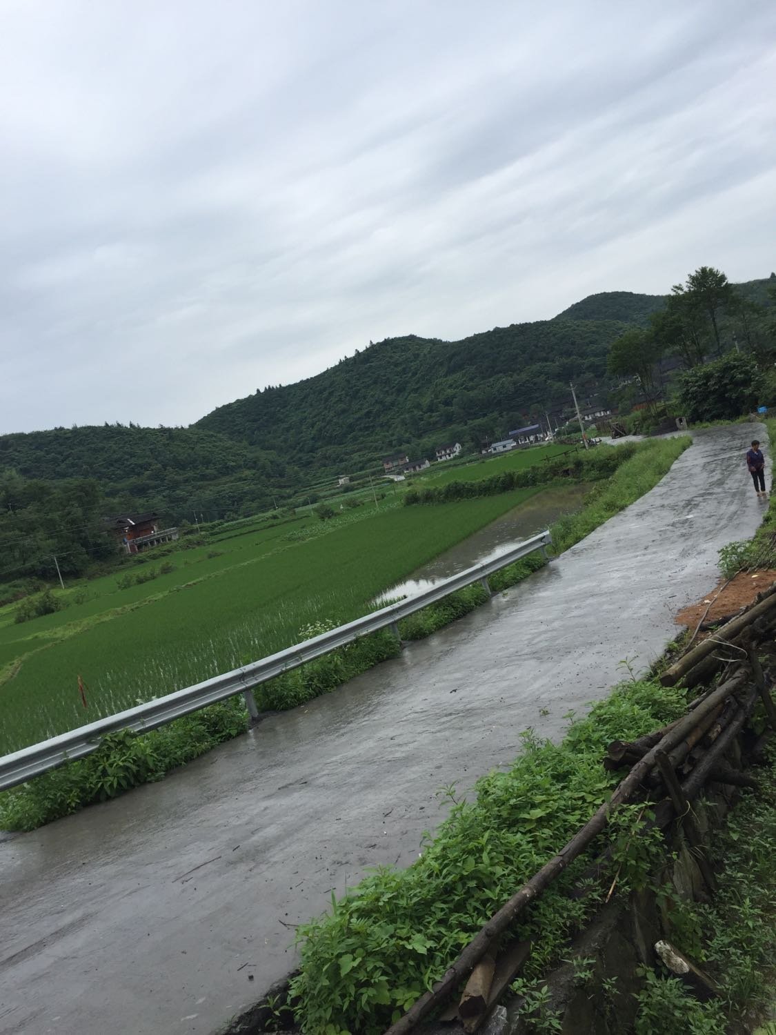 杂亚村今日天气预报