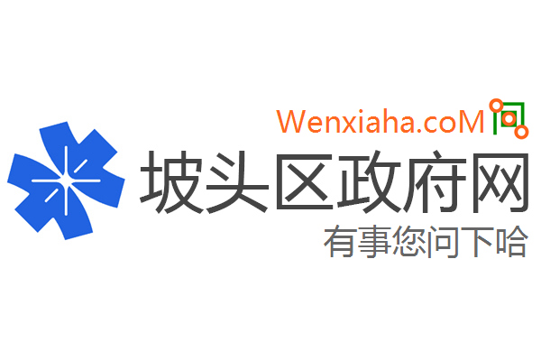 坡头区数据和政务服务局最新招聘信息全面解析