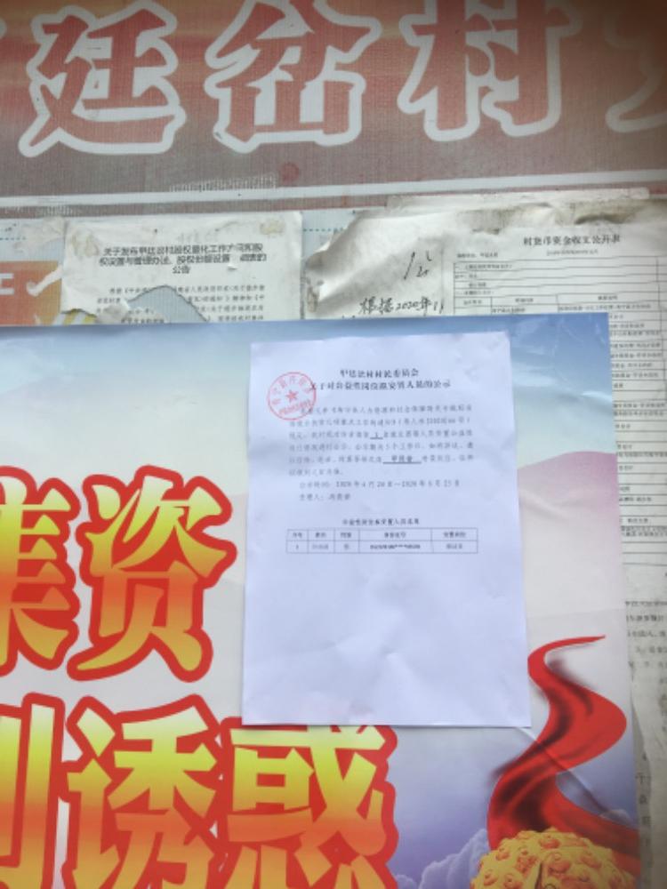 蔺家湾村委会招聘启事概览