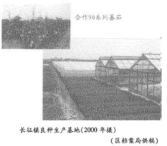 长征农场迈向现代化农业新征程的发展规划