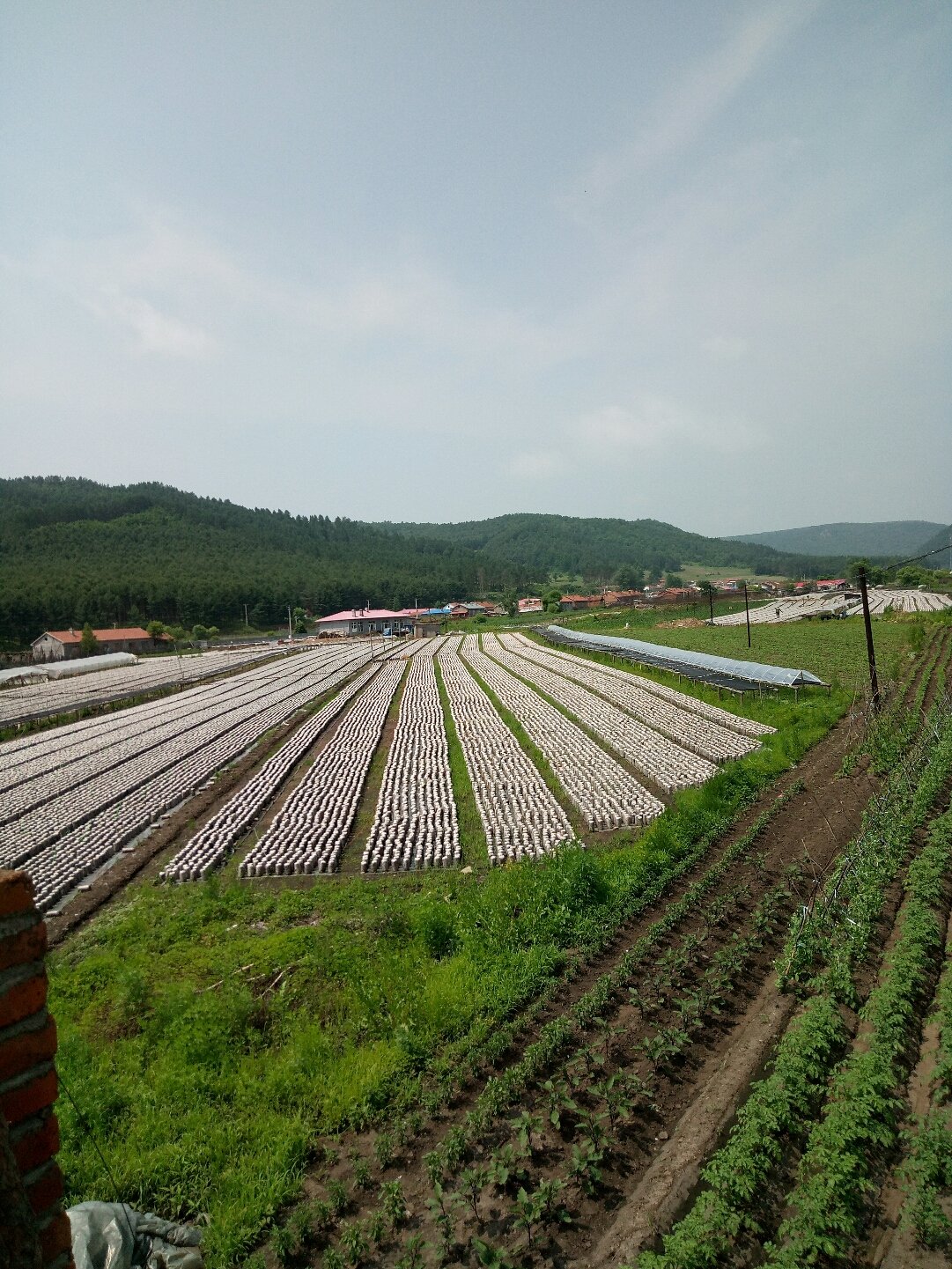 吉兴朝鲜族满族乡天气预报更新通知