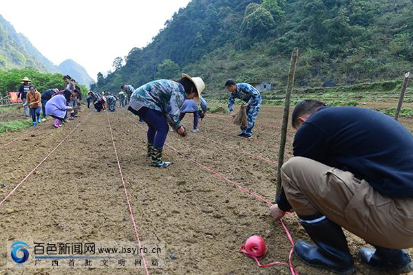 燕峒乡新项目引领乡村发展新篇章