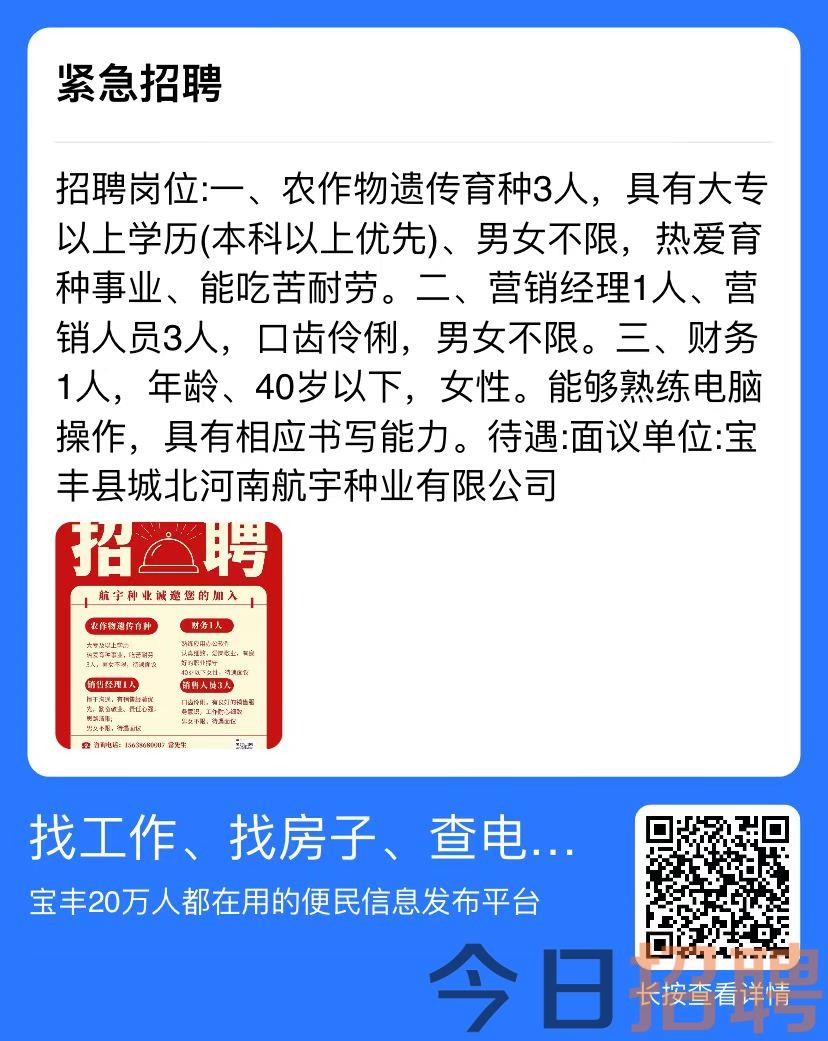 宝峰镇最新招聘信息汇总